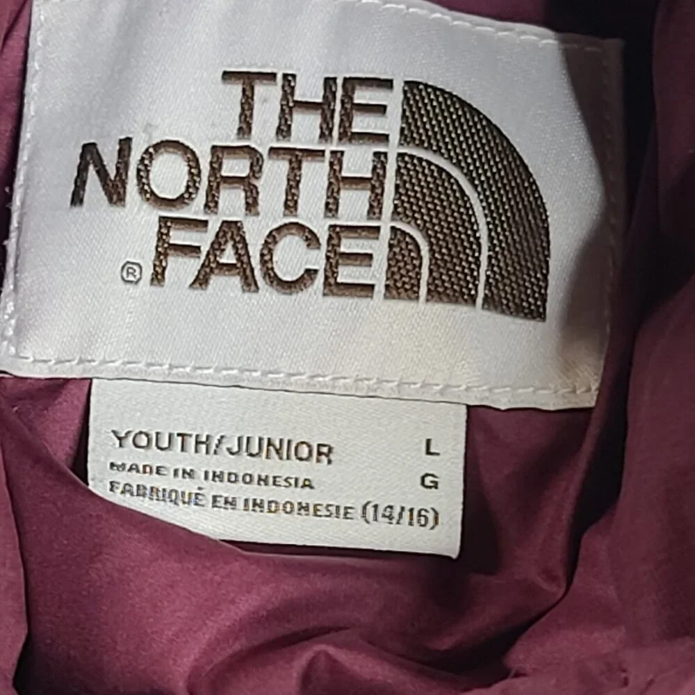 The North Face Boy's Burgundy Sierra 600 Goose Down Hooded‎ Puffer Jacket Size L
